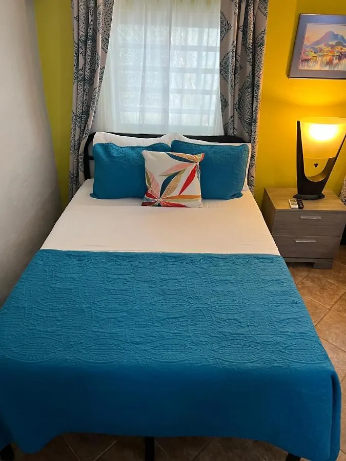 ゲストハウス The Vieques Guesthouse Esperanza